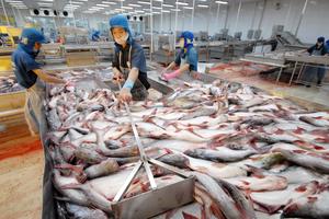 Việt Nam đệ đơn lên WTO khiếu nại Hoa Kỳ biện pháp chống bán phá giá