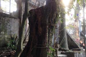 Cơ quan Cảnh sát điều tra Công an Hà Nội lặng im đến bao giờ?