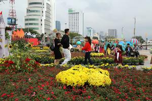 Người Đà Nẵng thích thú với đường hoa xuân tuyệt đẹp
