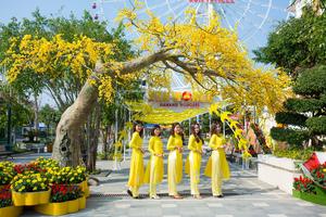 Sun World Danang Wonders đã sẵn sàng bùng nổ với lễ hội “Mai vàng sắc xuân”