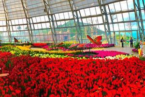 “Lạc lối tại Hà Lan” ở Vinpearl Nha Trang