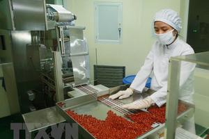 Tăng tỷ lệ sử dụng thuốc nội địa tại các bệnh viện tuyến tỉnh, huyện