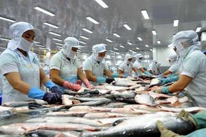 Yêu cầu phía Hoa Kỳ xem xét lại cách xác định thuế với cá tra, basa