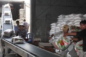 Việt Nam có thể xuất khẩu 6,5 triệu tấn gạo trong năm 2018