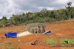 Vi phạm công tác bảo vệ rừng, quản lý sử dụng đất