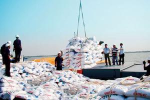 Phân bón nhập khẩu gây thiệt hại cho sản xuất trong nước