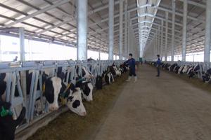 Vinamilk khánh thành trang trại bò sữa số 1 tại Thanh Hóa