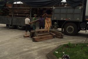 123 thanh gỗ không giấy tờ hợp lệ bị bắt giữ