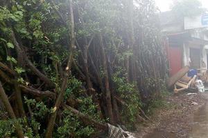 Chỉ đạo của tỉnh Hà Nam hiệu lực đến đâu?