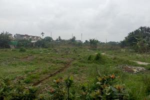 An Dương, Hải Phòng: Tiền đã nộp, đất chẳng được giao