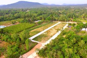Phó Thủ tướng chỉ đạo bổ sung thanh tra quản lý, sử dụng đất nông nghiệp ở Phú Quốc
