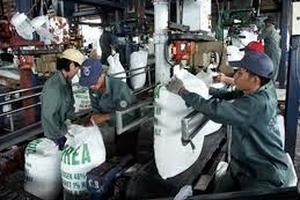 Vi phạm hành chính trong lĩnh vực phân bón sẽ bị phạt đến 200 triệu đồng