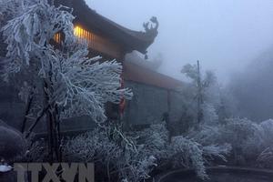Sa Pa nhiệt độ xuống thấp, băng giá bất ngờ phủ trắng đỉnh Fansipan