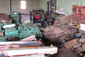 Ông Phan Văn Vĩnh đề xuất bán gỗ tang vật hàng trăm tỉ đồng