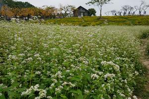Những điểm đến hấp dẫn quanh Hà Nội