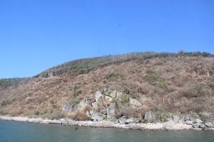 Tan nát rừng trên vịnh Vân Phong