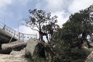 Kiên quyết không tái diễn tình trạng lộn xộn tại chùa Đồng 