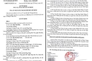 Đầu tháng 5 xét xử bị cáo Hứa Thị Phấn