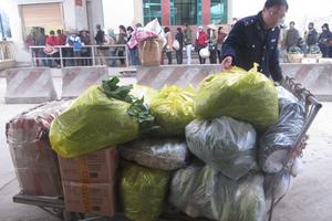 Ngành Hải quan: Bắt giữ, xử lý trên 1.250 vụ vi phạm