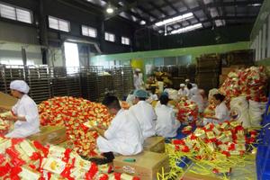 Xử phạt và thu nộp ngân sách Nhà nước gần 25,6 tỷ đồng