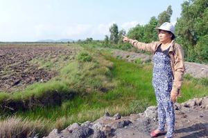 Canh tác gần 30 năm, 60ha đất của dân… bỗng trở thành đất công? 