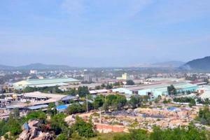 Bình Định: Hàng loạt đơn vị sử dụng đất sai mục đích