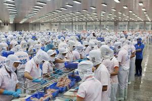 Đồng Tháp: Phạt 4 cơ sở thủy sản xả thải ra môi trường