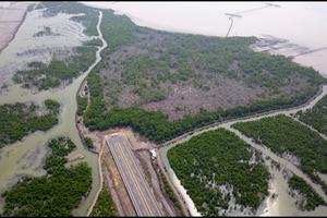 Tỉnh Bà Rịa - Vũng Tàu thu hồi dự án là chưa phù hợp Luật Đất đai