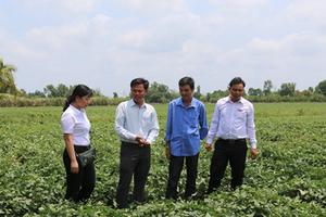 Cùng Đồng bằng sông Cửu Long phát triển bền vững