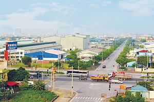 Không nộp ngân sách hơn 11 tỷ đồng