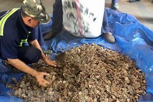Hải quan TP.HCM tiếp tục thu giữ 3,3 tấn vảy tê tê nhập khẩu trái phép