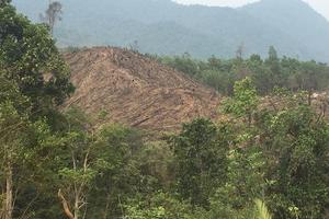 Bắc Giang đưa ra nhiều biện pháp bảo vệ rừng