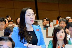 Tòa đặc khu được xử bắt giữ tàu bay, sao không được xử “dân kiện chính quyền”?