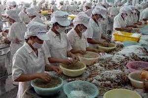 Vi phạm hành chính về lĩnh vực thức ăn chăn nuôi, thủy sản phạt đến 200 triệu đồng