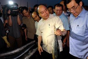 Thủ tướng chủ trì cuộc họp về giải pháp ổn định cho 4 tỉnh miền Trung