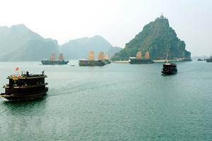 Tổng cục trưởng Tổng cục Du lịch gửi thư xin lỗi vị khách Australia