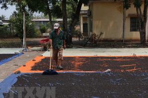 Hồ tiêu Việt Nam: Không để “con sâu làm rầu nồi canh”