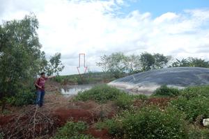 5 năm gây ô nhiễm nghiêm trọng chỉ bị phạt 3 triệu đồng