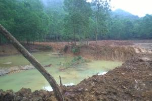 Phải xử nghiêm hành vi vi phạm rừng đặc dụng