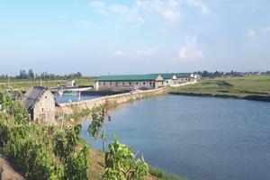 Hợp tác xã Đồng Môn “bức tử” môi trường