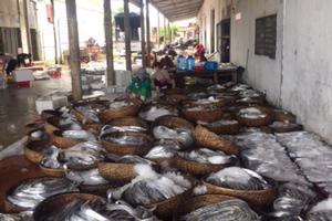 Cố tình không thực hiện chỉ đạo của Chính phủ?                                                                                                       