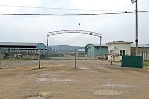 Hà Tĩnh: Dự án nuôi bò nghìn tỷ “chết lâm sàng” lỗ hàng trăm tỷ