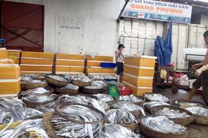 Vì sao Quảng Bình từ chối bồi thường cho 18 cơ sở kinh doanh thủy sản bị thiệt hại bởi sự cố môi trường biển?