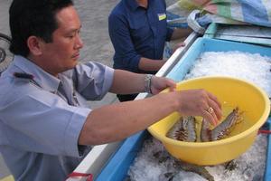 Bạc Liêu: Phát hiện 150kg tôm chứa tạp chất