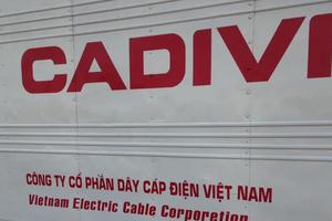 CADIVI liên tục bị xử phạt