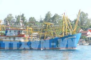 Kỳ I: Lập, thẩm định không đúng; nghiệm thu không chính xác 