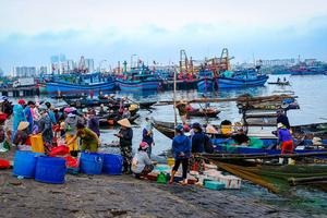 Kỳ IV: Quản gần 110 tỷ nhưng chưa hoàn thành hồ sơ trình công bố mở cảng cá