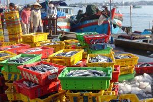 Kỳ III: Một số diện tích, chủ sử dụng đất không đưa vào quyết định thu hồi