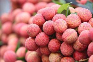 Giá bán vải thiều tại Bắc Giang khoảng 15.000 đồng/kg