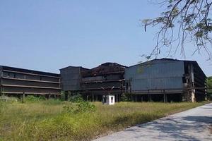 Ý kiến trái chiều: Đúng hay sai?